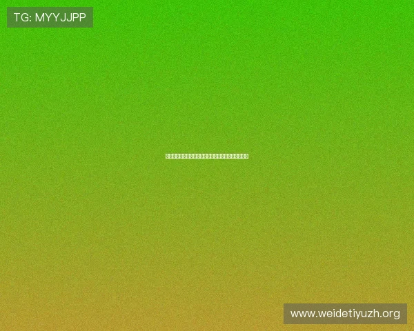 多宝真人网页入口稳定性提升与用户体验优化详细介绍
